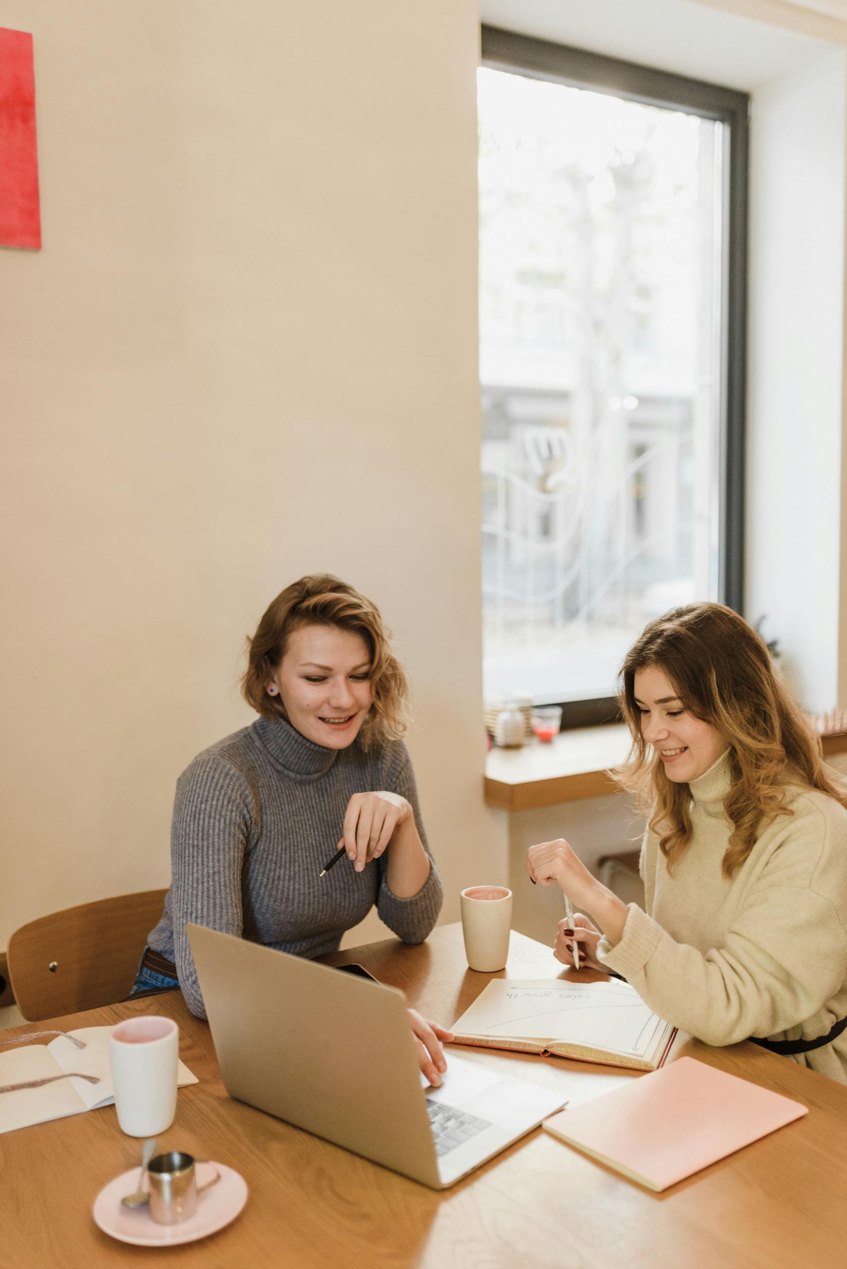 Two women engaged in a relaxed meeting at a cafe, using a laptop.